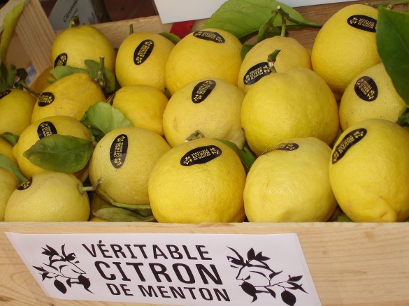 citrons-de-menton